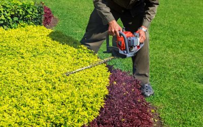 Landscaping, Rocks, Mulch, Planting, Flower Beds