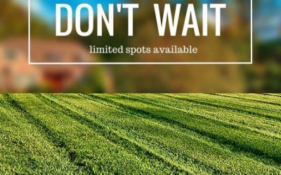 Lawn Fertilization - Free Estimates