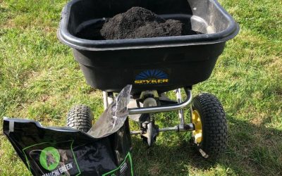 Lawn Fertilization - Free Estimates