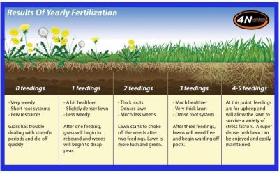 Lawn Fertilization - Free Estimates
