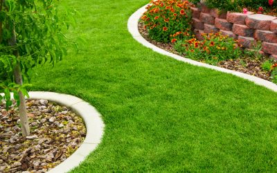 Lawn Maintenance - Free Estimates