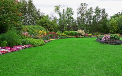 Lawn Maintenance - Free Estimates