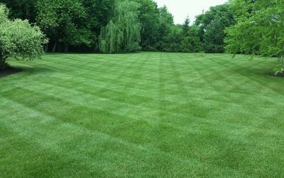Lawn Fertilization - Free Estimates