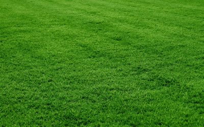 Lawn Maintenance - Free Estimates