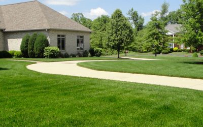 Lawn Maintenance - Free Estimates