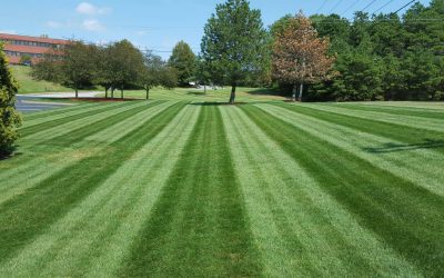 Lawn Care Free Estimates