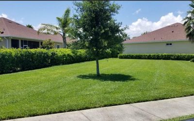 Lawn Mowing Free Estimates