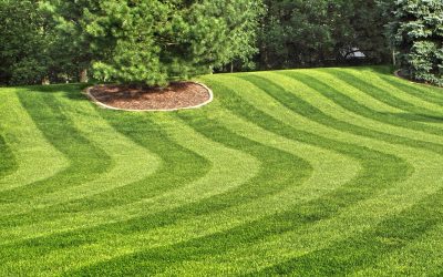 Lawn Care Free Estimates Lawn Care Free Estimates