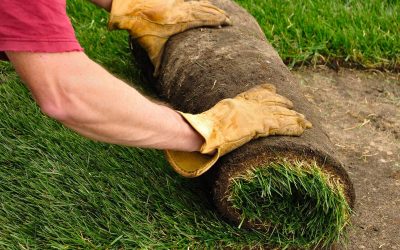 Sod Installation – Free Estimates Sod Installation - Free Estimates