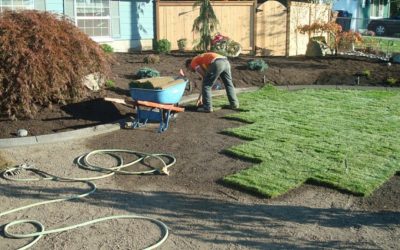 Sod Installation - Free Estimates